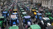 Long line of tractors, many with Union Jack flags, protesting in a city street, one sign reads Keep your bullsh*t in Westm...