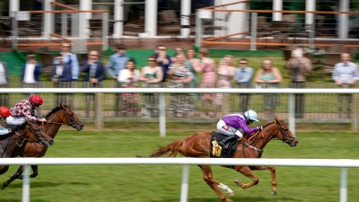 Two jockeys on brown horses race on a green track past spectators at a horse racing event.