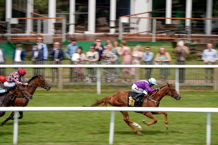 Two jockeys on brown horses race on a green track past spectators at a horse racing event.