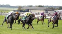 Jockeys on racehorses gallop across a green turf track during a horse racing event.