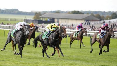 Jockeys on racehorses gallop across a green turf track during a horse racing event.