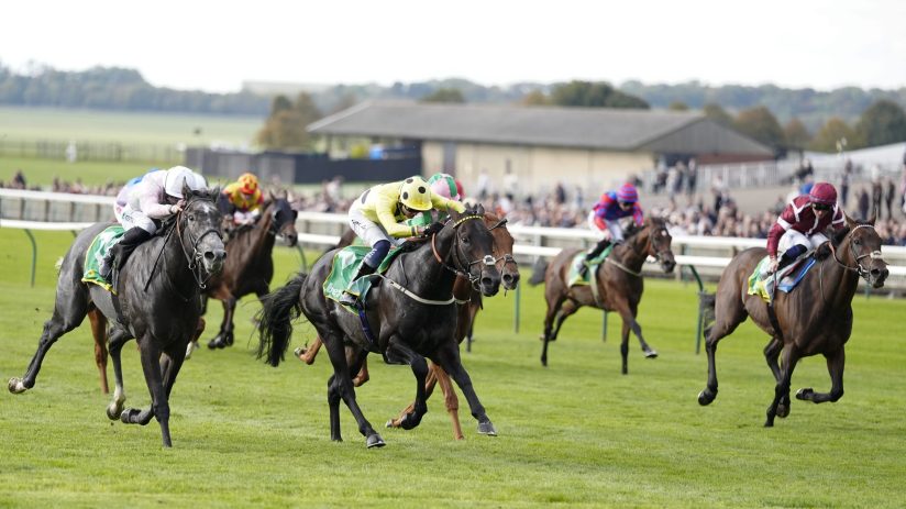 Jockeys on racehorses gallop across a green turf track during a horse racing event.