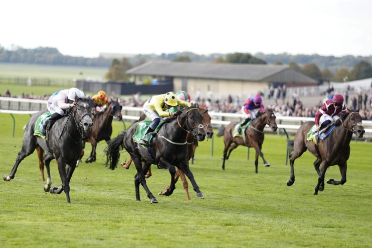 Jockeys on racehorses gallop across a green turf track during a horse racing event.
