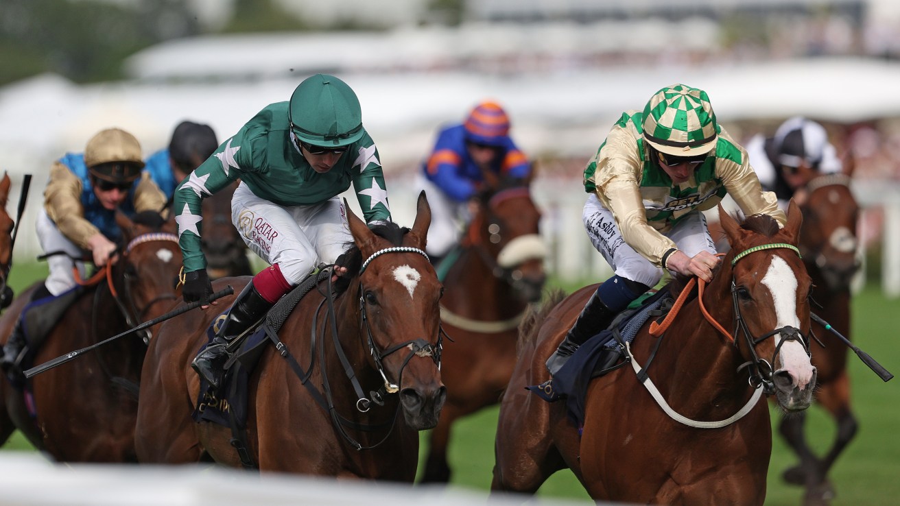 Great expectations for Dickensian and Paddy at Newbury