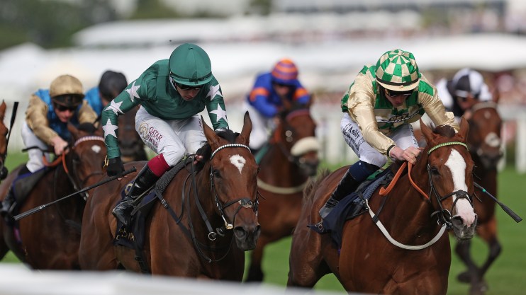 Jockeys on racehorses gallop neck and neck towards the finish line on a green turf track.