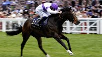 Jockey in purple and white racing silks on a galloping brown horse with number 10, crowds in background.