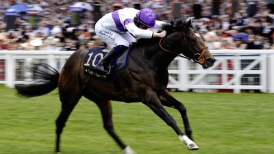 Jockey in purple and white racing silks on a galloping brown horse with number 10, crowds in background.