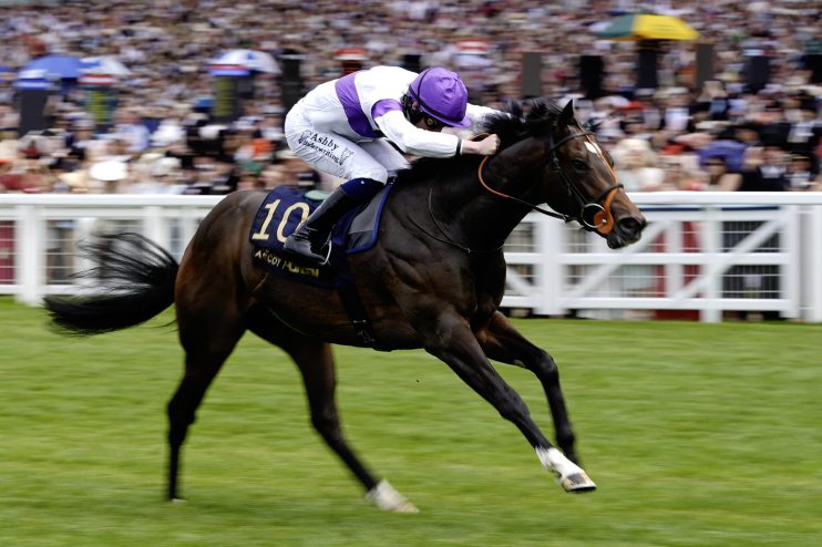 Jockey in purple and white racing silks on a galloping brown horse with number 10, crowds in background.