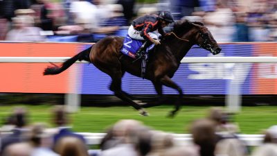 Brown racehorse with jockey in black and orange silks galloping past blurred spectators and track signage.