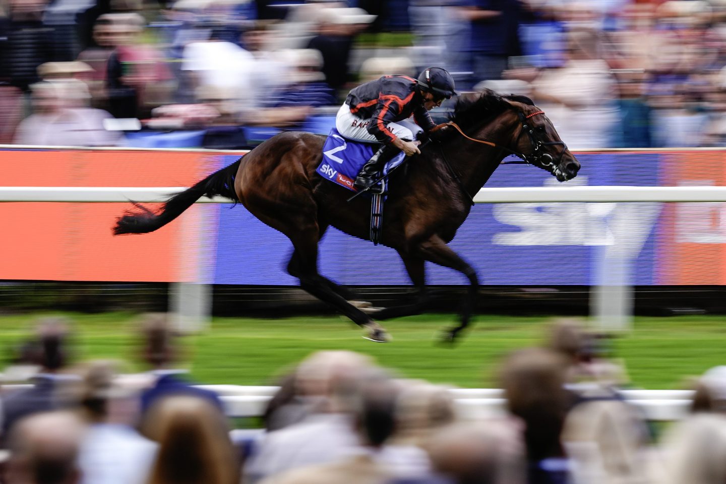 Not backing Maltese in Sunday’s Arc will leave you Cross