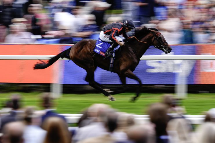 Brown racehorse with jockey in black and orange silks galloping past blurred spectators and track signage.