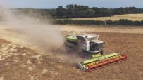 A parched barley field under a hot, dry UK summer sky, illustrating drought challenges for farmers and distillers.