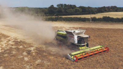 A parched barley field under a hot, dry UK summer sky, illustrating drought challenges for farmers and distillers.