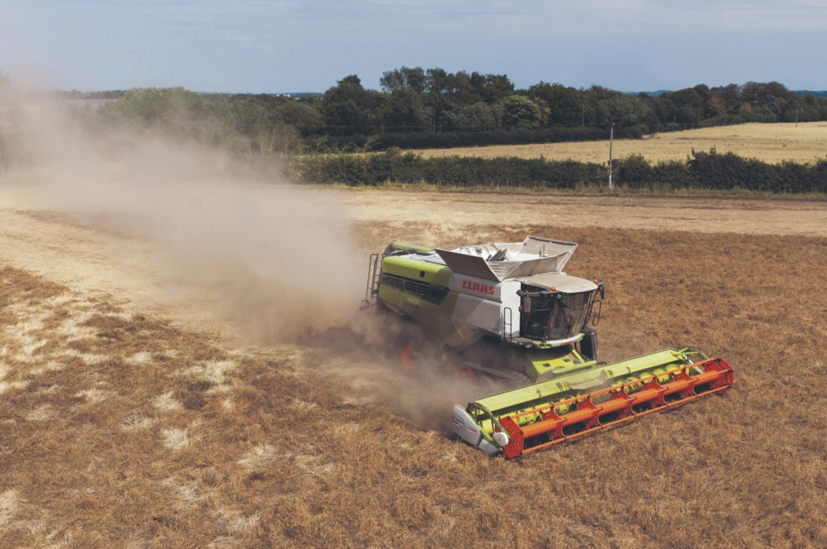 The challenges facing barley farmers and Scotch distillers