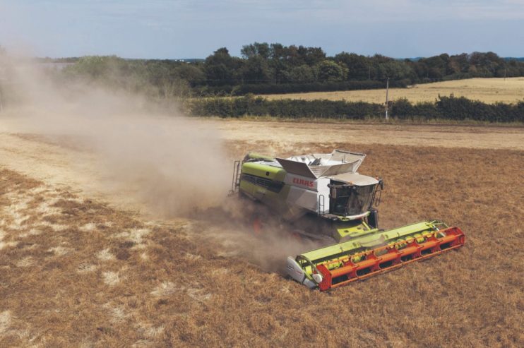 A parched barley field under a hot, dry UK summer sky, illustrating drought challenges for farmers and distillers.
