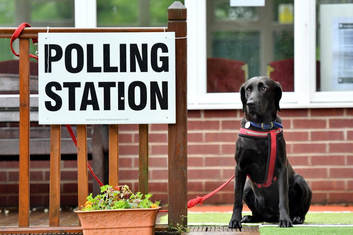 If black labradors are a far right fantasy, I guess I’m a fascist