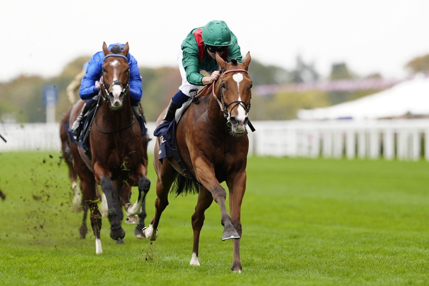 Calanda can again be Ascot Champion