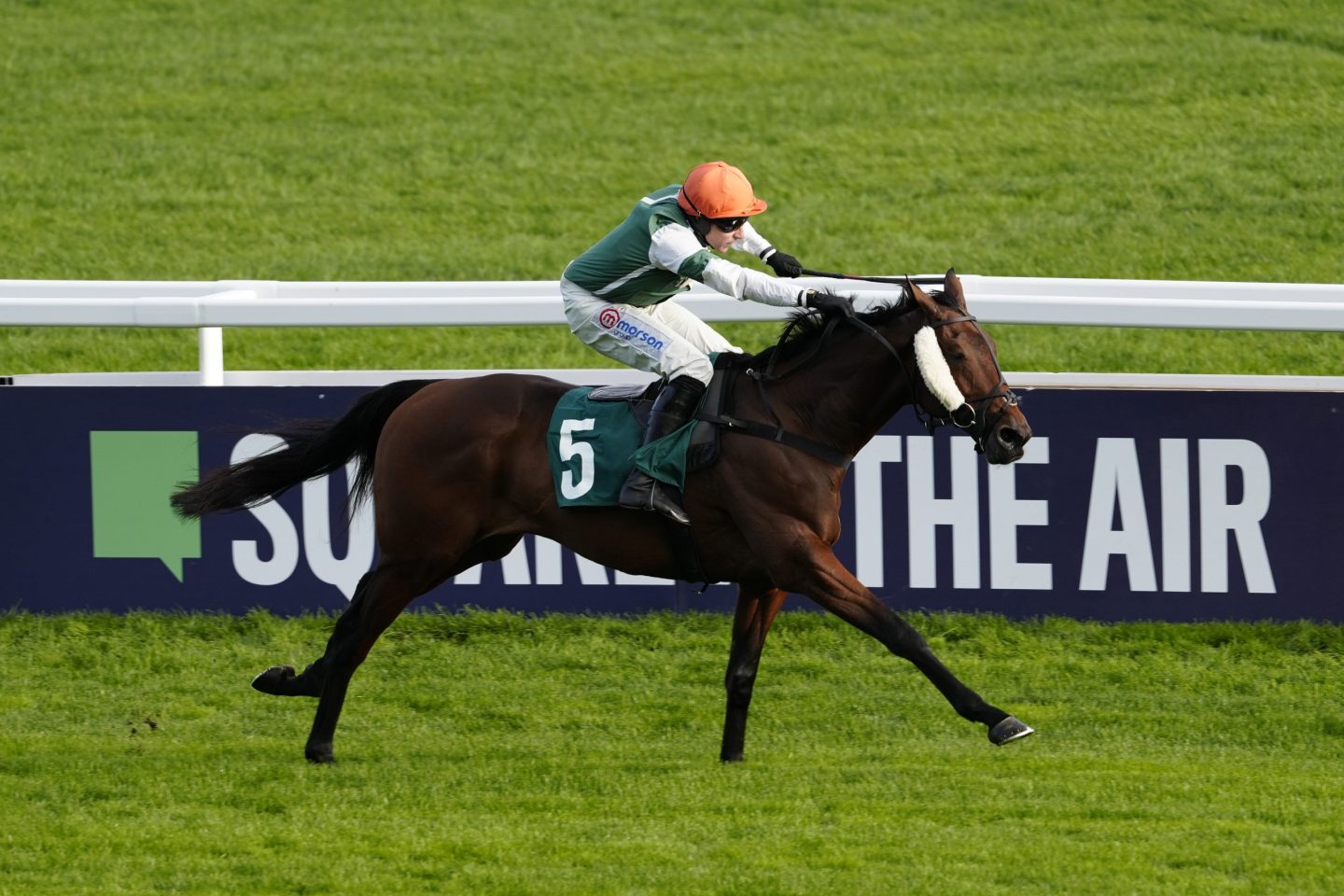 Catch Calico on return to Cheltenham
