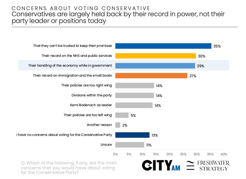 Bar chart showing concerns about voting Conservative, with cant be trusted at 35% and economy at 29%.