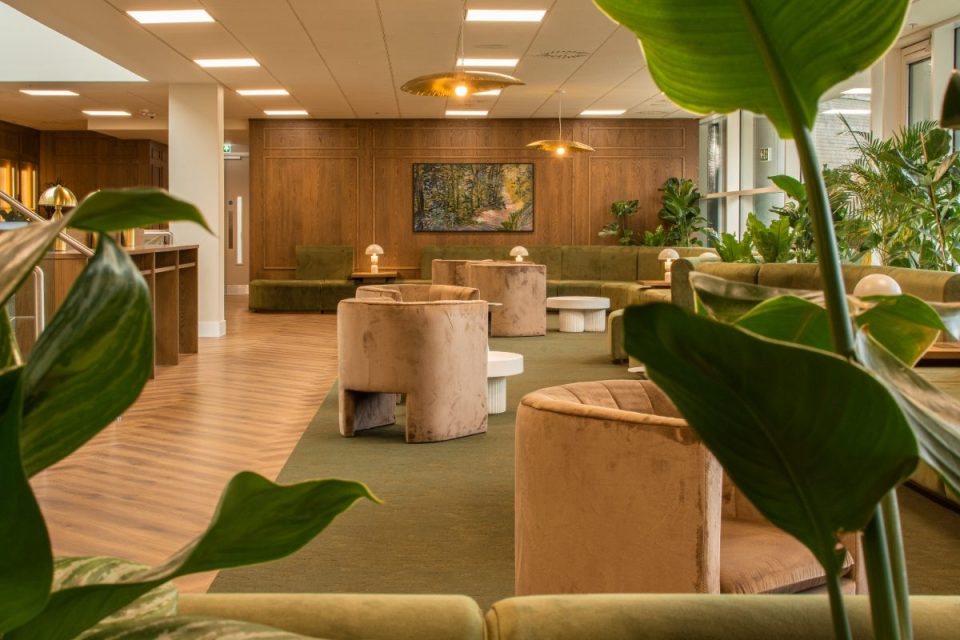Modern office lounge with green carpet, velvet seating, wood paneling, and plants