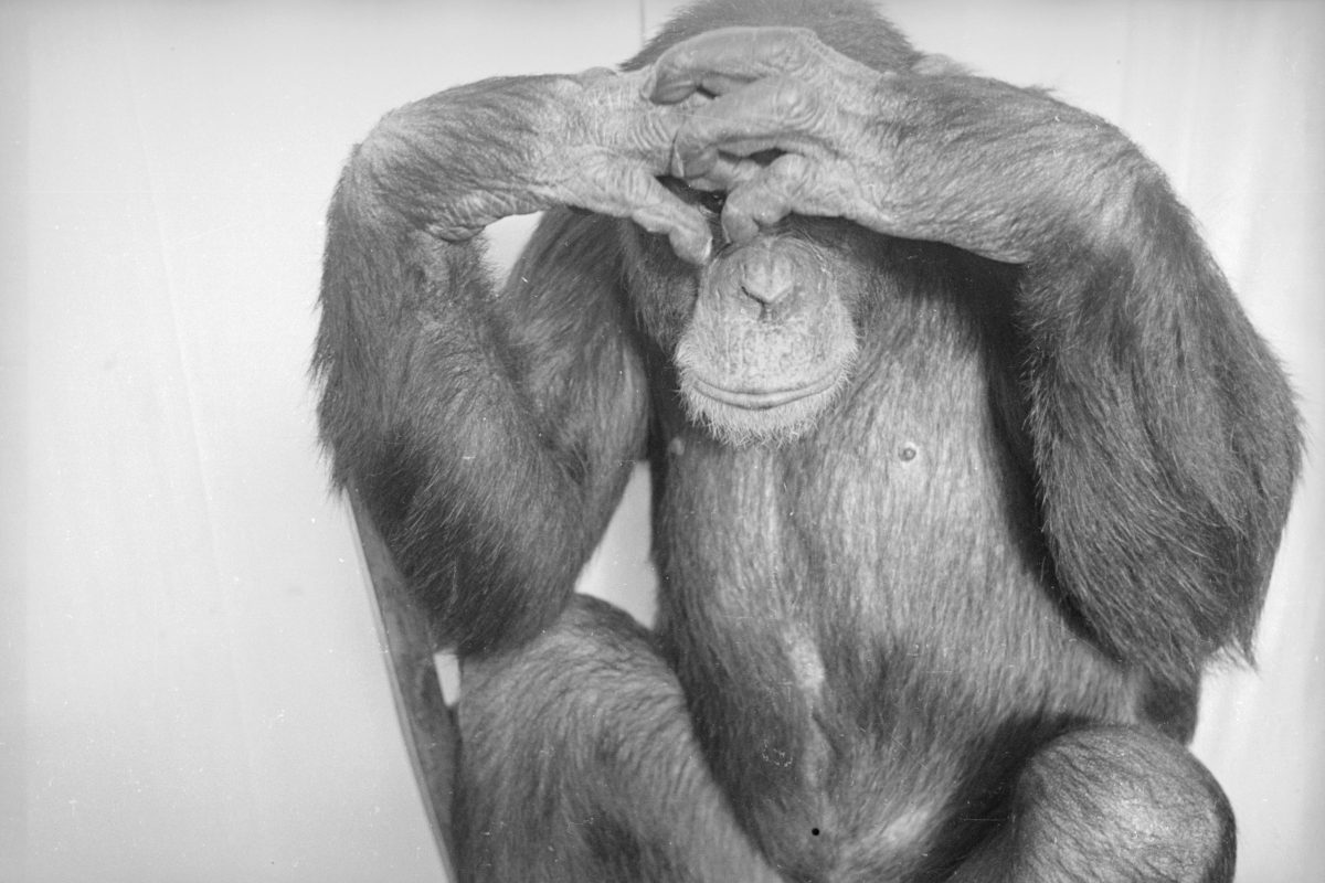 The biggest obstacle to safer AI is embarrassment