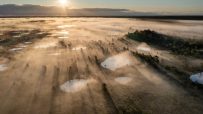 Aerial view of a misty Estonian bog at sunrise with sunlight streaming through trees onto small pools