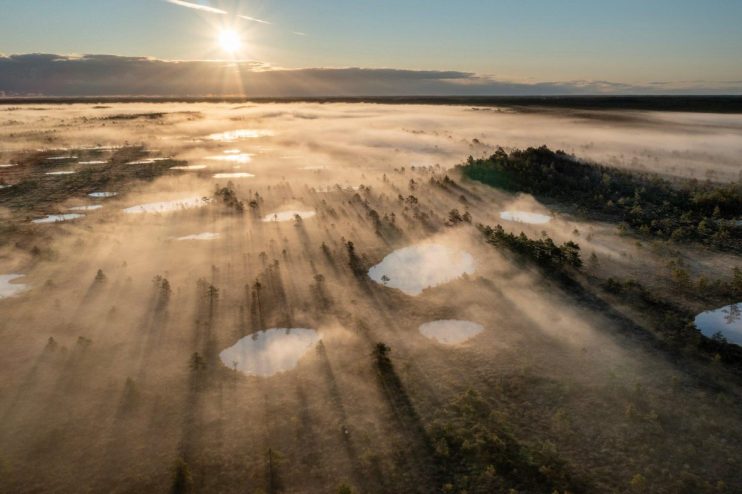 Aerial view of a misty Estonian bog at sunrise with sunlight streaming through trees onto small pools