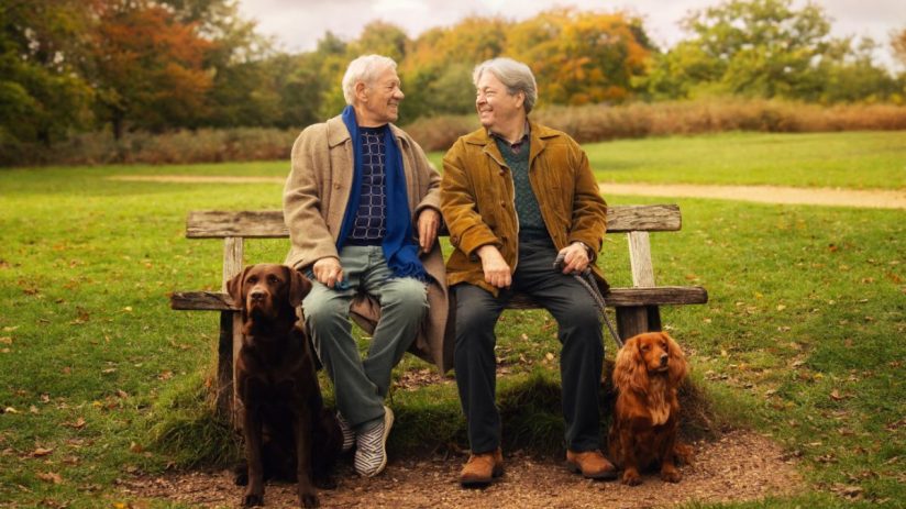 Two men named Frank and Percy seated on a park bench with their dogs, a Labrador and a Spaniel.