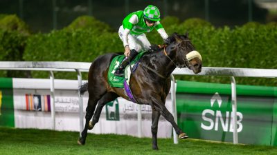 Jockey in green and white silks riding a dark brown racehorse on a green track at night
