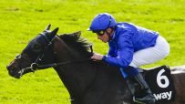 Jockey in blue silks and helmet riding a dark horse with a number 6 saddlecloth on a green track.