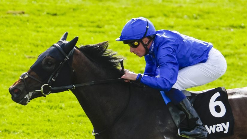 Jockey in blue silks and helmet riding a dark horse with a number 6 saddlecloth on a green track.