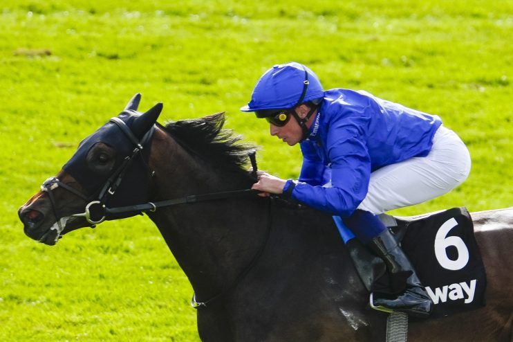 Jockey in blue silks and helmet riding a dark horse with a number 6 saddlecloth on a green track.