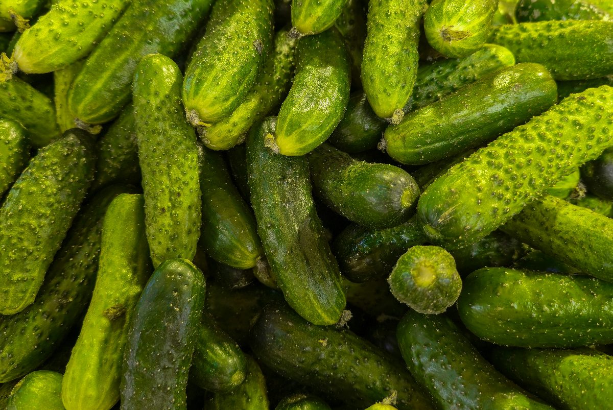 Autumn Budget 2026: In defence of cheaper gherkins, Ozempic