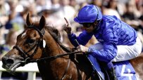 Jockey in blue silks on a brown racehorse, raising a finger in celebration after a win at the racetrack.