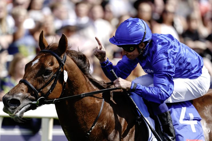 Jockey in blue silks on a brown racehorse, raising a finger in celebration after a win at the racetrack.