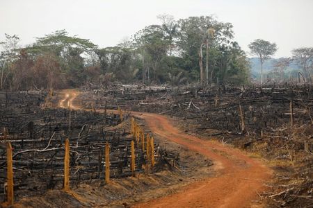A view of an illegal road made during the deforestation of the Yari plains, in Caqueta