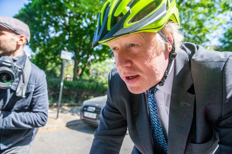 British Political Figures Vote In The European Elections