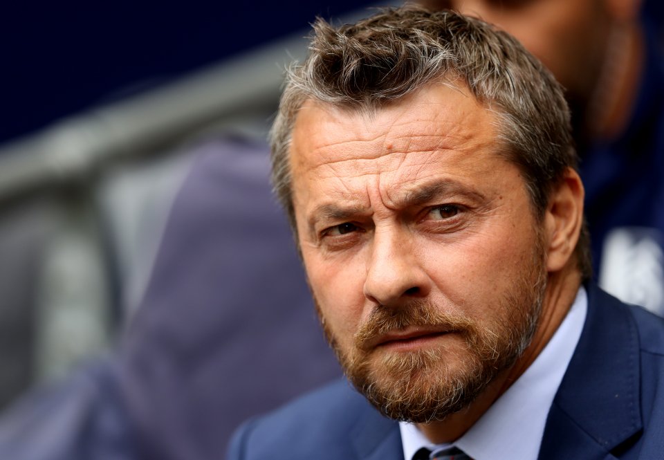 Tottenham Hotspur v Fulham - Premier League